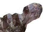 Shangaan Smoky Amethyst Crystal - Chibuku Mine, Zimbabwe #278156-2